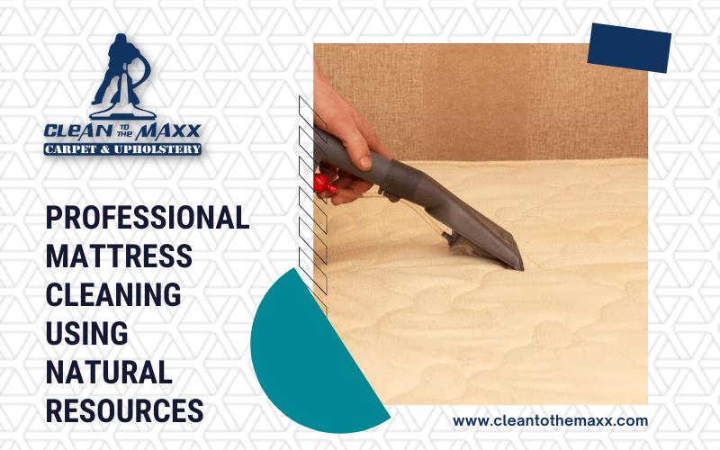 Professional-Mattress-Cleaning-Using-Natural-Resources