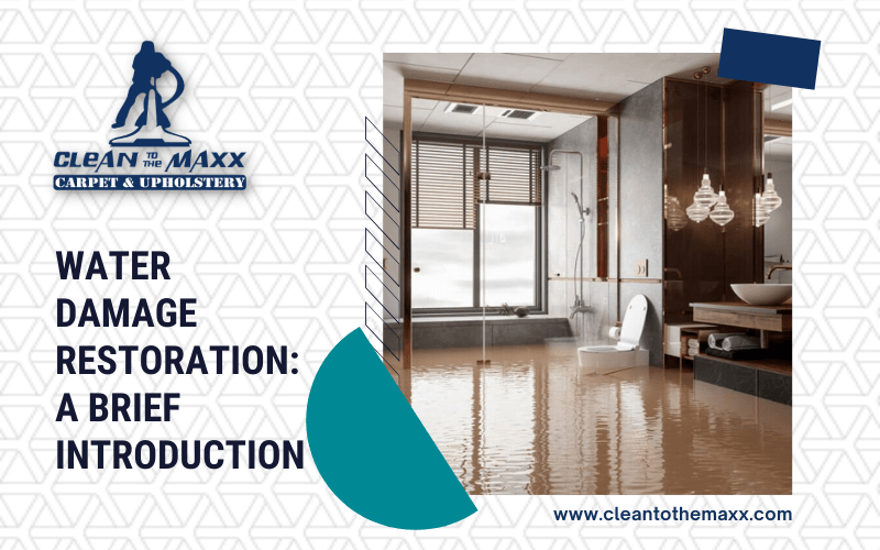 Water-Damage-Restoration_-A-Brief-Introduction