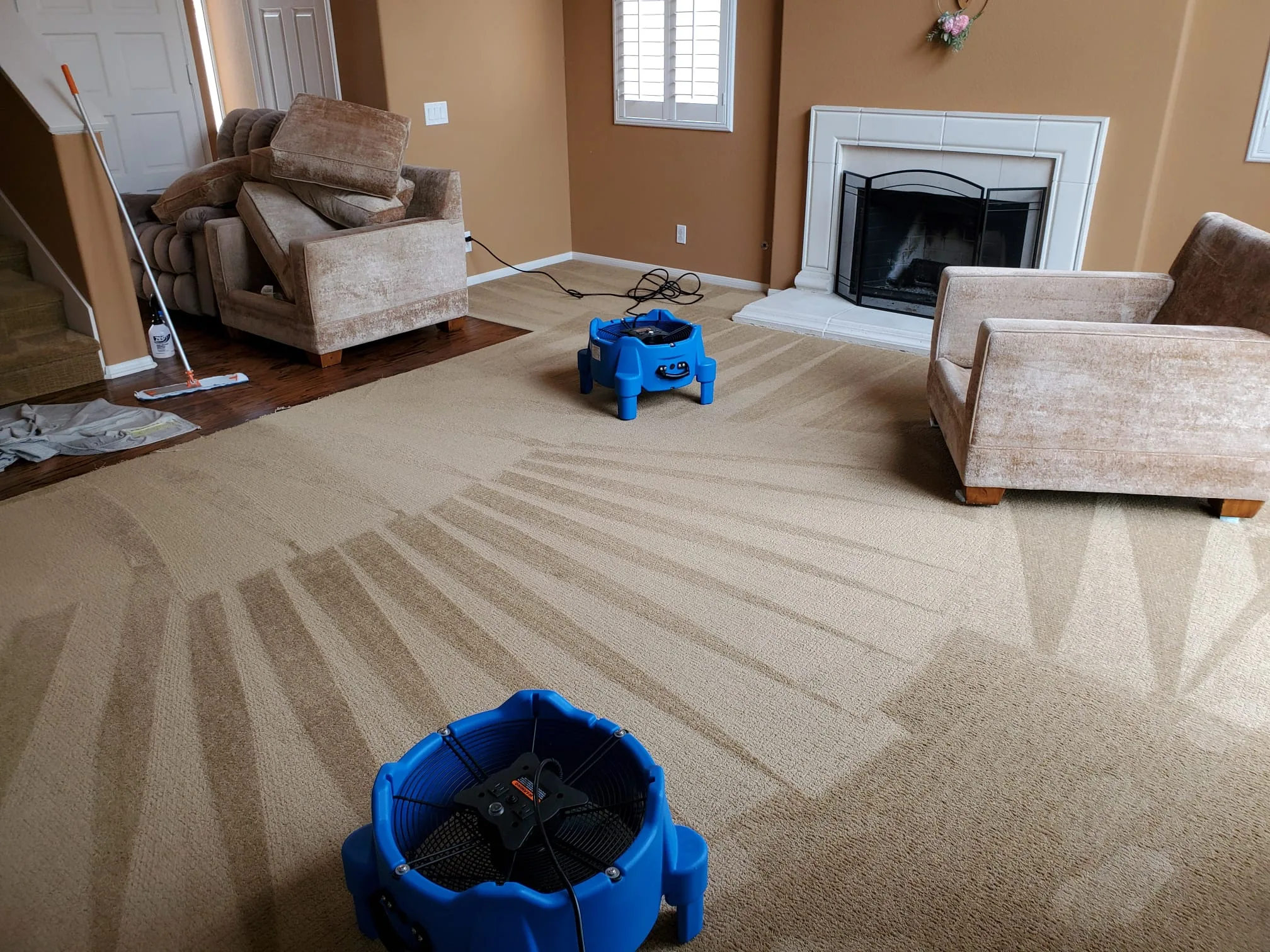 Carpet Cleaning img (1)