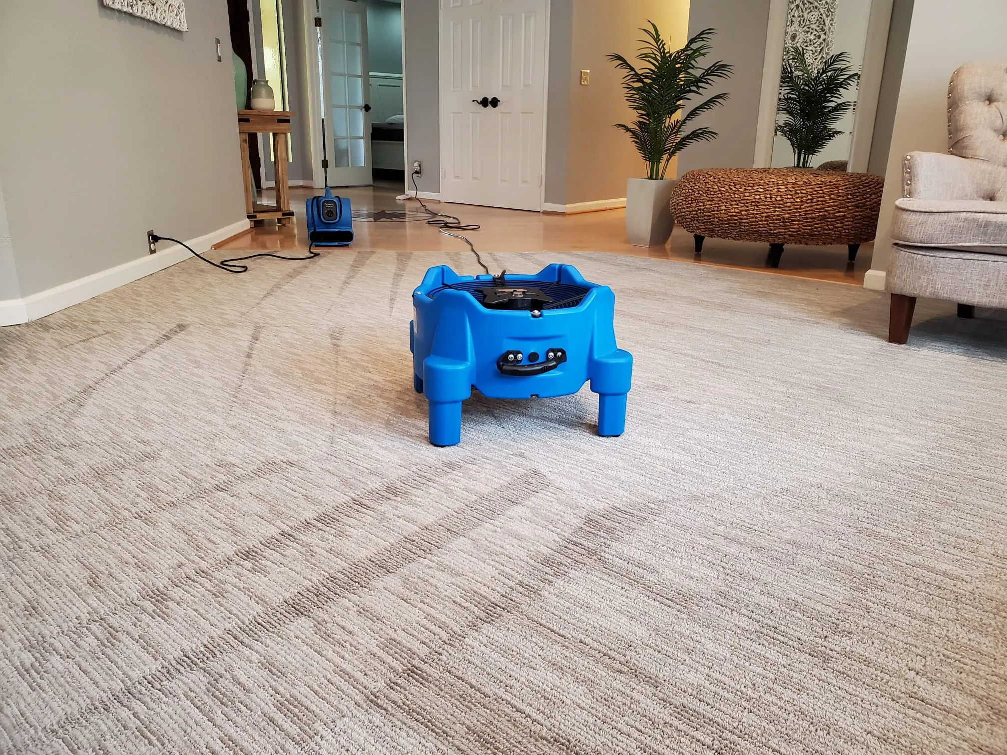 Carpet Cleaning img (2)