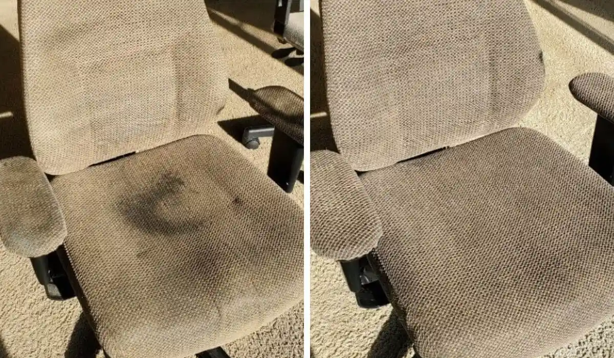 Clean-To-The-Maxx-Upholstery2