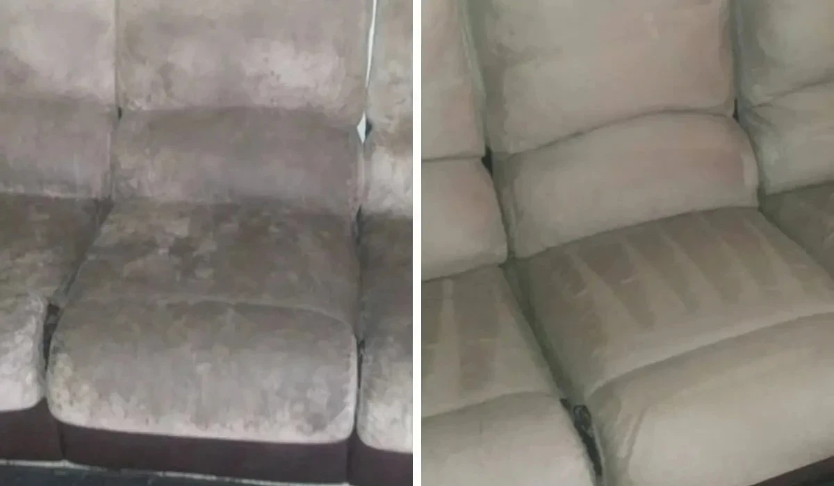 Clean-To-The-Maxx-Upholstery3 (1)